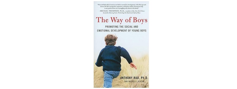 Books about raising boys: The Way of Boys