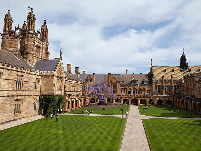 Early entry into Sydney University