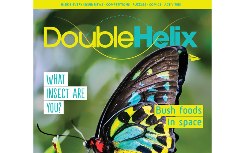 Gifts for tween boys - Double Helix mag