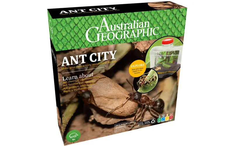 Gifts for tween boys - ant city