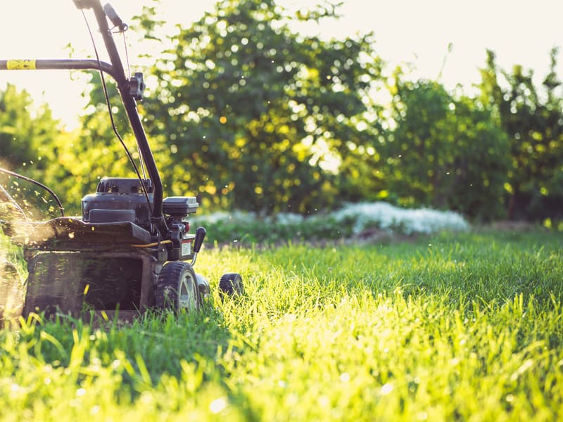 Lawnmower parents - why mowing down life's hard bits isn't good for your kids