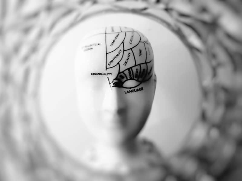 Neuroscience and teenage brain