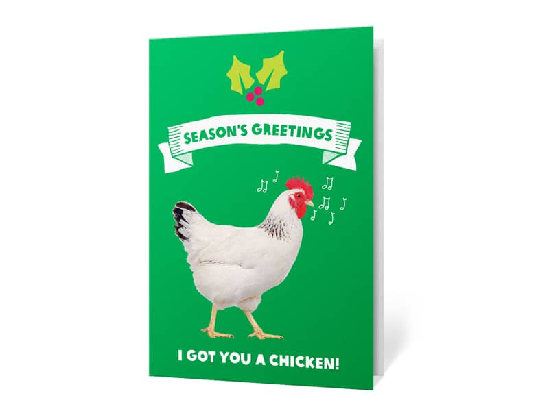 Gifts for teenagers - chicken