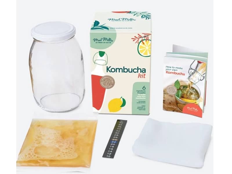 Kombucha kit makes a great gift for teens