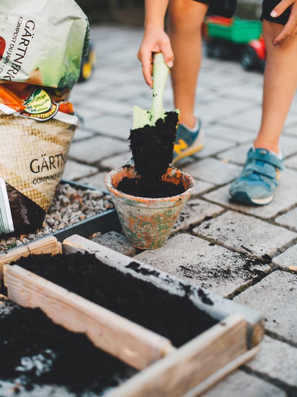 Things for teens to do at home - get into gardening