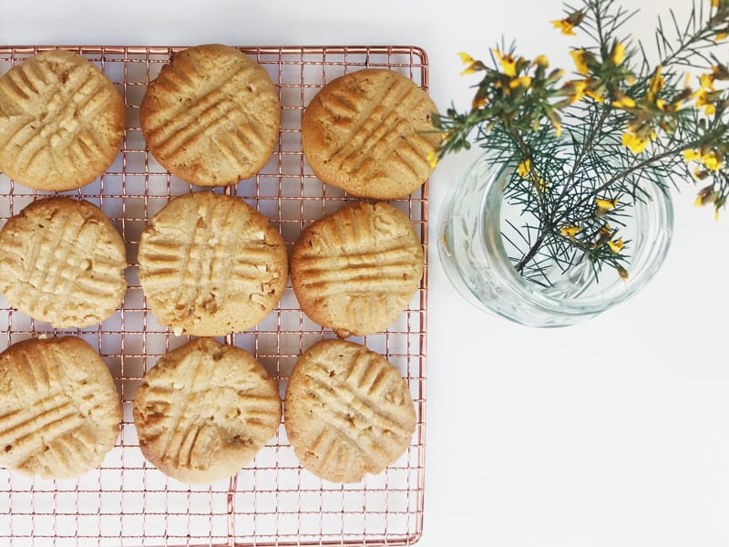 BEST peanut butter biscuits - you'll love this recipe