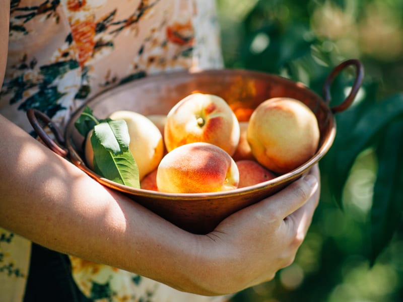 Peaches are excellent for teen gut healthPeaches are excellent for teen gut health